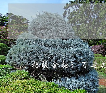 招联金融3万逾期一年多 招联金融3万逾期一年多