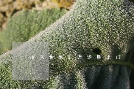 招联金融3万逾期上门 招联金融3万逾期上门
