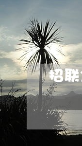 招联金融3万逾期两年 招联金融3万逾期两年