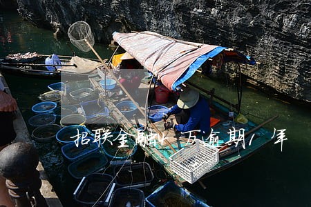 招联金融4万逾期1年 招联金融4万逾期1年
