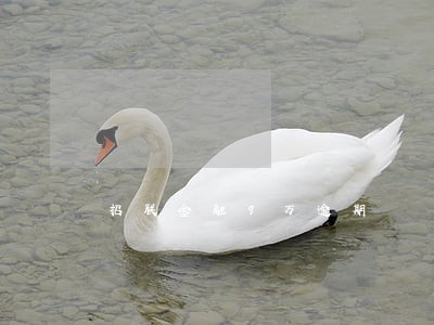 招联金融9万逾期