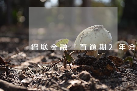 招联金融一直逾期2年会怎样 招联金融一直逾期2年会怎样