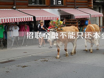 招联金融不能只还本金吗 招联金融不能只还本金吗