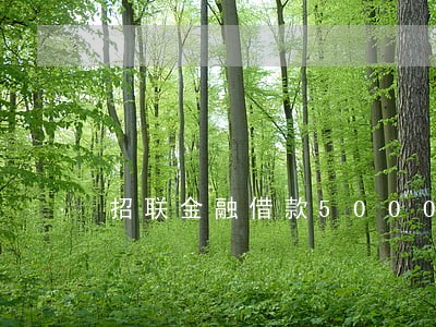 招联金融借款5000逾期 招联金融借款5000逾期