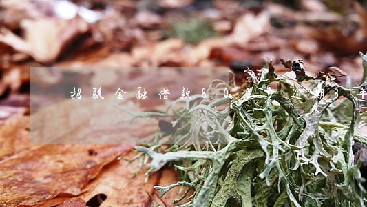 招联金融借款8000逾期3年 招联金融借款8000逾期3年