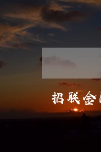 招联金融借款逾期3天