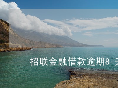 招联金融借款逾期8天会怎样