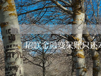 招联金融变呆账只还本金 招联金融变呆账只还本金