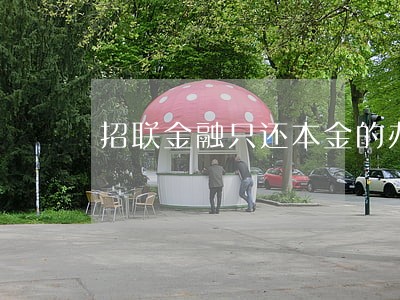 招联金融只还本金的办法 招联金融只还本金的办法