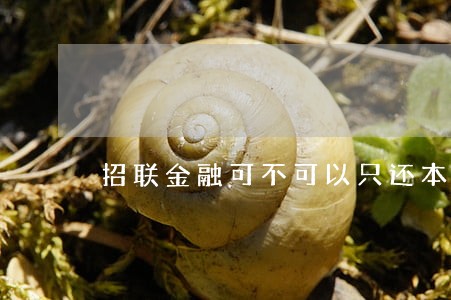 招联金融可不可以只还本金 招联金融可不可以只还本金