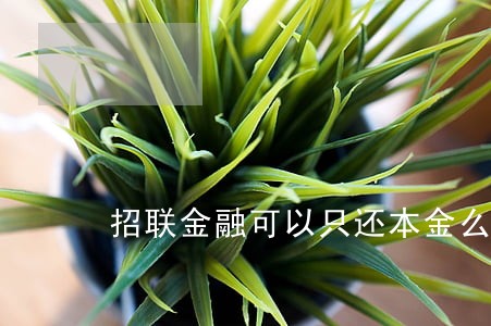 招联金融可以只还本金么 招联金融可以只还本金么