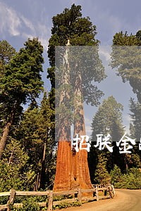 招联金融好期贷逾期1天怎么补救 招联金融好期贷逾期1天怎么补救