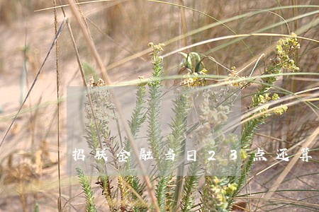 招联金融当日23点还算逾期吗 招联金融当日23点还算逾期吗