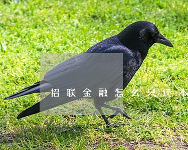 招联金融怎么只还本金 招联金融怎么只还本金