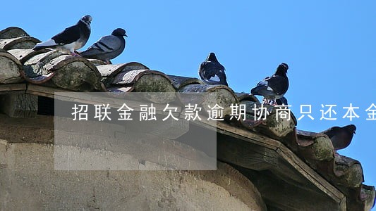 招联金融欠款逾期协商只还本金 招联金融欠款逾期协商只还本金