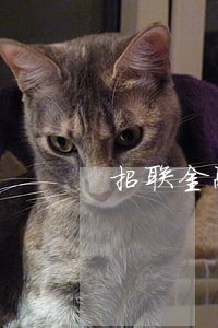 招联金融电话没接逾期4个月 招联金融电话没接逾期4个月