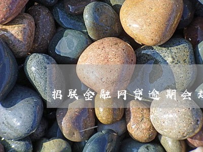 招联金融网贷逾期会起诉吗 招联金融网贷逾期会起诉吗