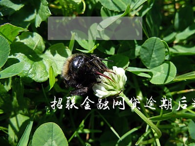 招联金融网贷逾期后果 招联金融网贷逾期后果