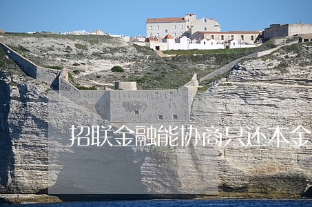 招联金融能协商只还本金不 招联金融能协商只还本金不
