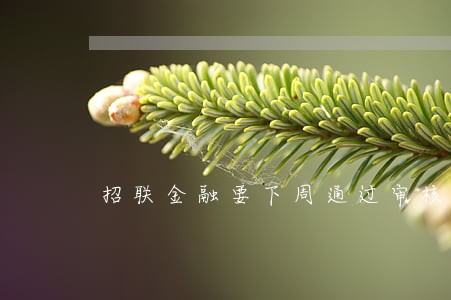 招联金融要下周通过审核 招联金融要下周通过审核