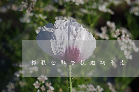 招联金融贷款逾期不还 招联金融贷款逾期不还