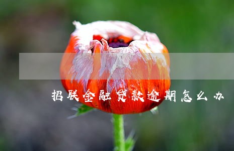 招联金融贷款逾期怎么办 招联金融贷款逾期怎么办