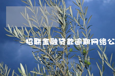 招联金融贷款逾期网络公布