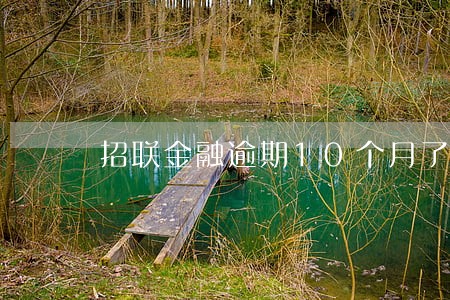 招联金融逾期10个月了 招联金融逾期10个月了