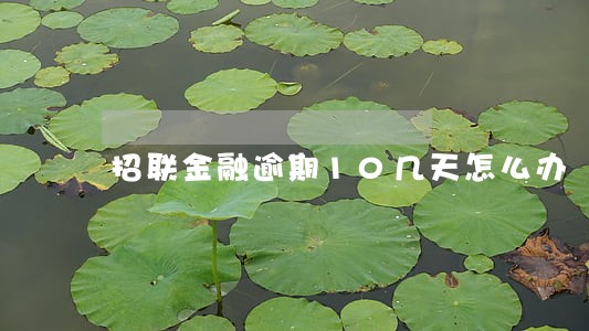 招联金融逾期10几天怎么办 招联金融逾期10几天怎么办