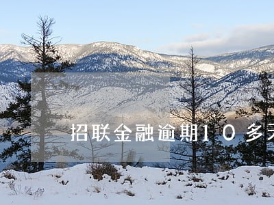 招联金融逾期10多天有什么后果 招联金融逾期10多天有什么后果