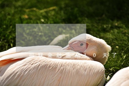 招联金融逾期10天了 招联金融逾期10天了