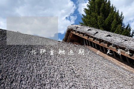 招联金融逾期10天有没有事 招联金融逾期10天有没有事