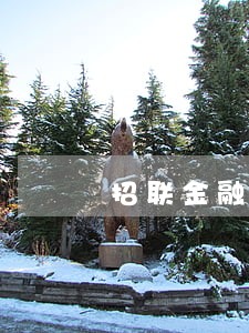 招联金融逾期10天还了 招联金融逾期10天还了