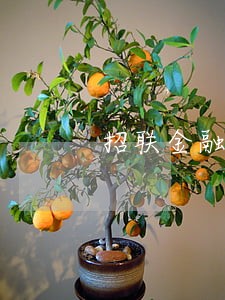 招联金融逾期11天要求全额还清 招联金融逾期11天要求全额还清