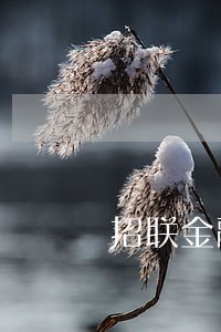 招联金融逾期12天会怎么做 招联金融逾期12天会怎么做