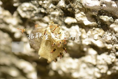 招联金融逾期1300会上门吗 招联金融逾期1300会上门吗