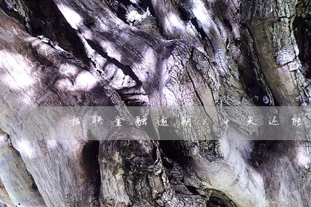招联金融逾期14天还能用吗 招联金融逾期14天还能用吗
