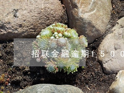 招联金融逾期15000严重吗
