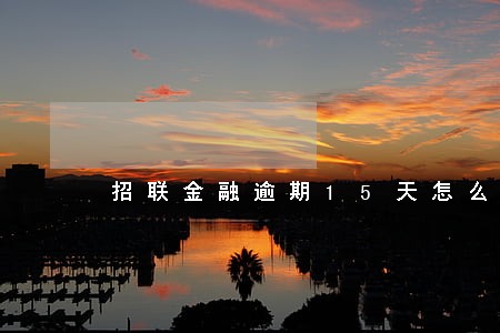 招联金融逾期15天怎么办 招联金融逾期15天怎么办