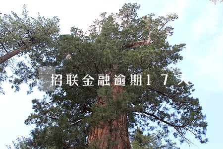 招联金融逾期17天 招联金融逾期17天