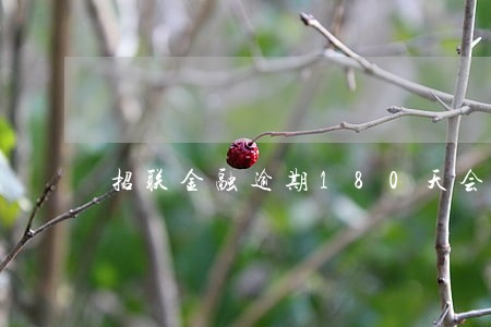 招联金融逾期180天会坐牢 招联金融逾期180天会坐牢