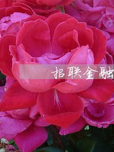 招联金融逾期18万 招联金融逾期18万