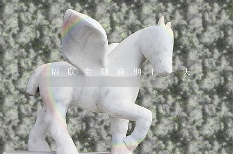 招联金融逾期1一天