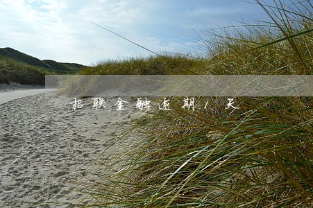 招联金融逾期1天 招联金融逾期1天