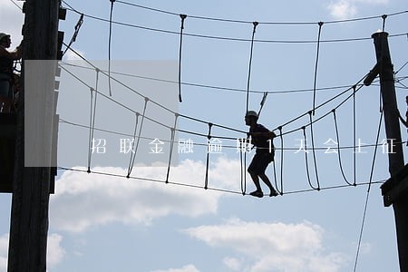 招联金融逾期1天会上征信 招联金融逾期1天会上征信