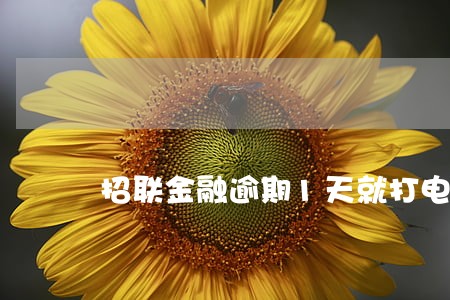 招联金融逾期1天就打电话来了 招联金融逾期1天就打电话来了