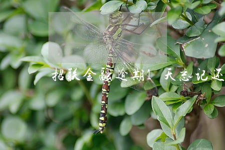 招联金融逾期1天忘记还 招联金融逾期1天忘记还