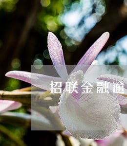 招联金融逾期20000立案科