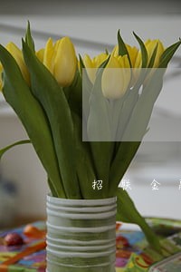 招联金融逾期2017
