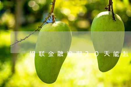 招联金融逾期20天能怎么办 招联金融逾期20天能怎么办